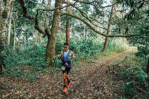 BIB: 
                            <button type="button" onclick="openModal(25662163)" class="btn btn-primary btn-sm float-right btn-popup" data-toggle="modal" data-target=".modal-high-quality">
                        <i class="fas fa-shopping-cart"></i> Add to Cart
                    </button>
                                            <button type="button" onclick="isThisMe(25662163, true)" class="btn btn-success btn-sm float-right btn-popup btn-isme hidden" data-toggle="tooltip" data-placement="bottom" title="นี่คือรูปของคุณใช่ไหม คลิกที่นี่เพื่อเอาเข้าอัลบั้ม">
                        <i class="fas fa-plus"></i> Add to album
                    </button>
                    <button type="button" onclick="isThisMe(25662163, false)" class="btn btn-warning btn-sm float-right btn-popup btn-isnotme hidden">
                        <i class="fas fa-ban"></i> Remove from album
                    </button>